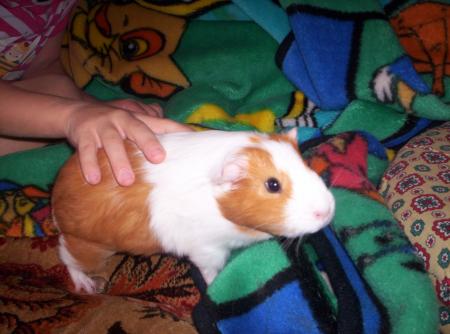 lilo